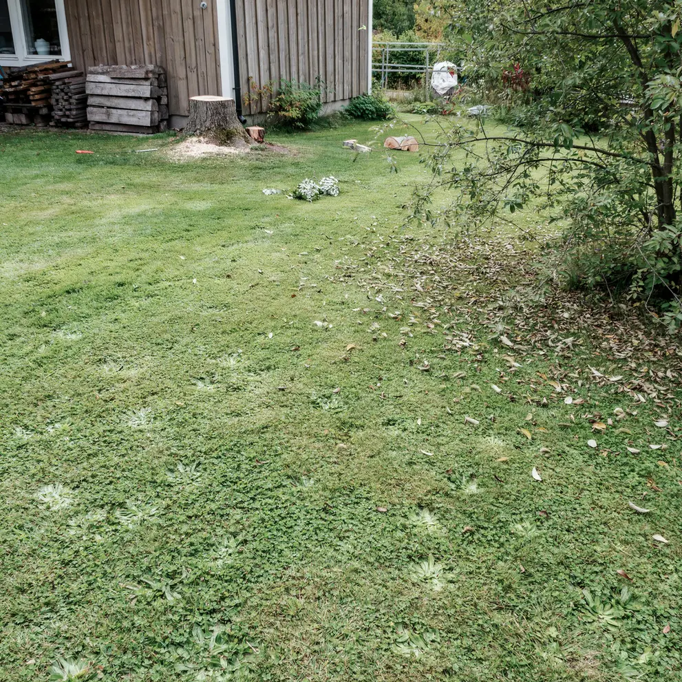 tradfallning tradvard arborist bortforsling trosa vagnharad sormland